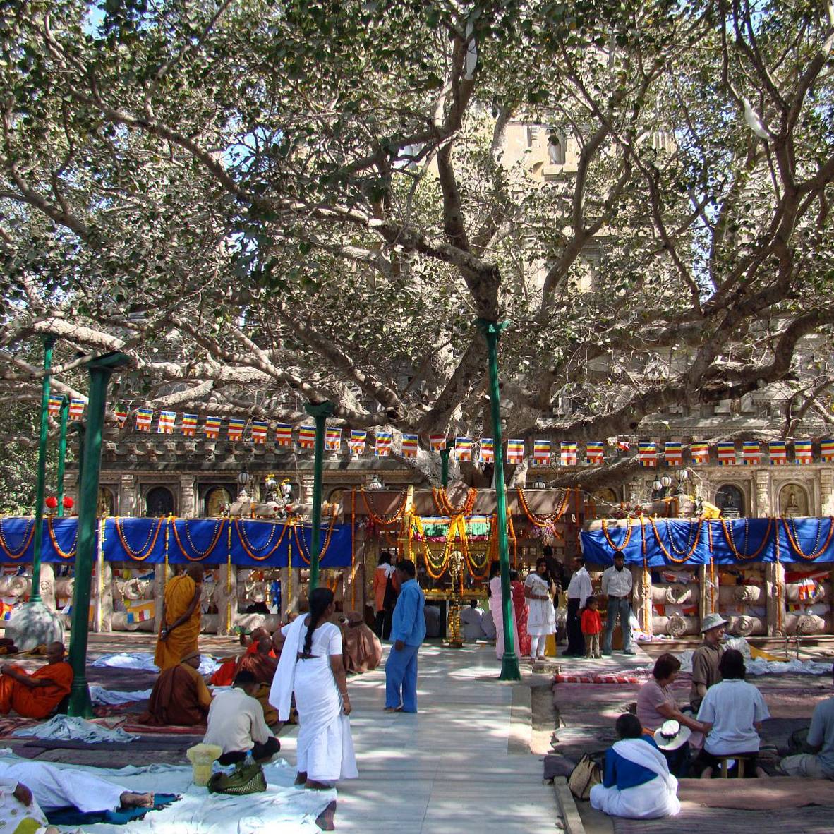 9040320385_e0592dd29d_o