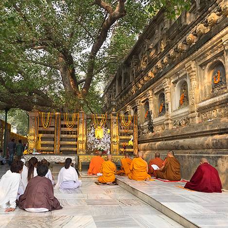 India-Bodh-Gaya-Mahabodhi-Temple-meditating-beneath-the-Bodhi-Tree